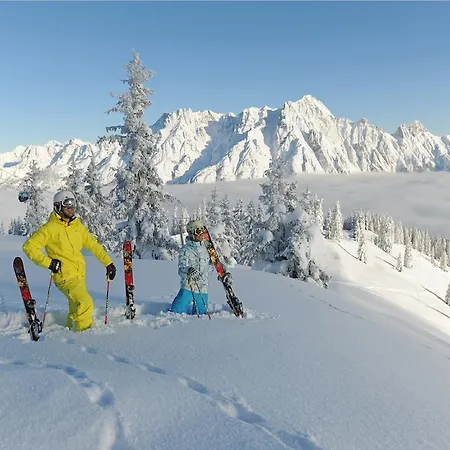 ليونارد فندق 4*